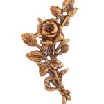 Λουλούδι Για Την Αριστερή Πλευρά  Οξυντέ.