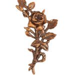 Λουλούδι Για Την Δεξιά Πλευρά  Οξυντέ.