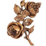 Τριαντάφυλλο Για Την Αριστερή Πλευρά  Οξυντέ.