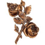 Τριαντάφυλλο Για Την Δεξιά Πλευρά  Οξυντέ.