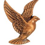 Περιστέρι Για Την Αριστερή Πλευρά  Οξυντέ.