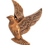 Περιστέρι Για Την Δεξιά Πλευρά  Οξυντέ.